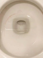 Toilet Bowl Cleaner Tablet Refills