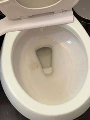 1 Year of Toilet Bowl Cleaner